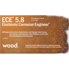 Electronic Corrosion Engineer 5.9 (2024) Full