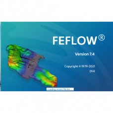 DHI Feflow 2024 Full